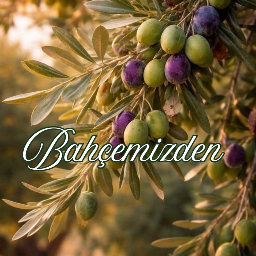Bahçemiz